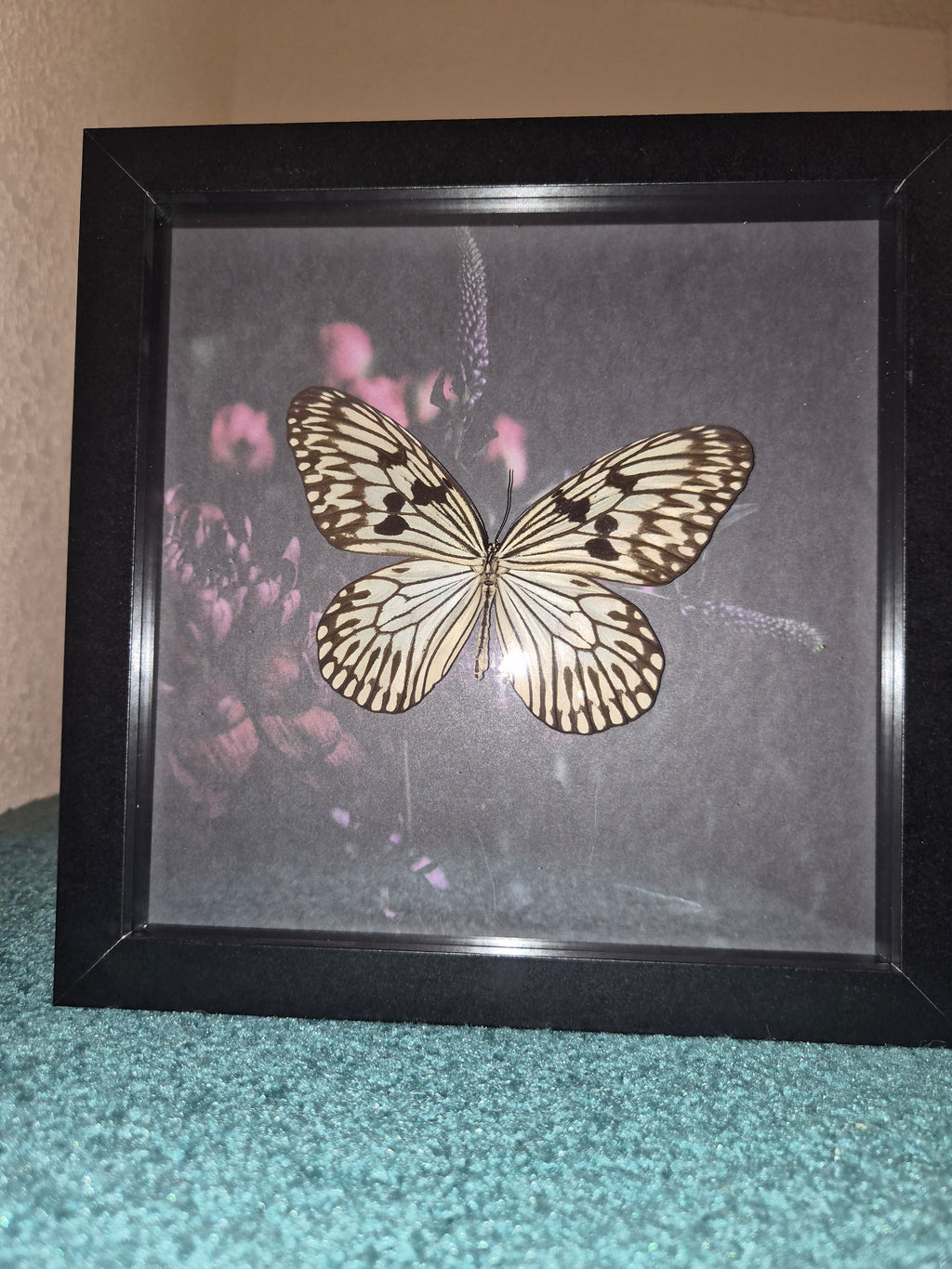 Framed Rice Paper Butterfly