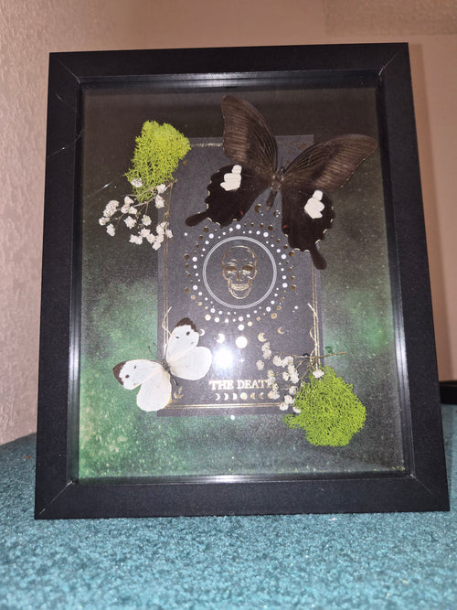 Gothic Butterfly Wall Frame